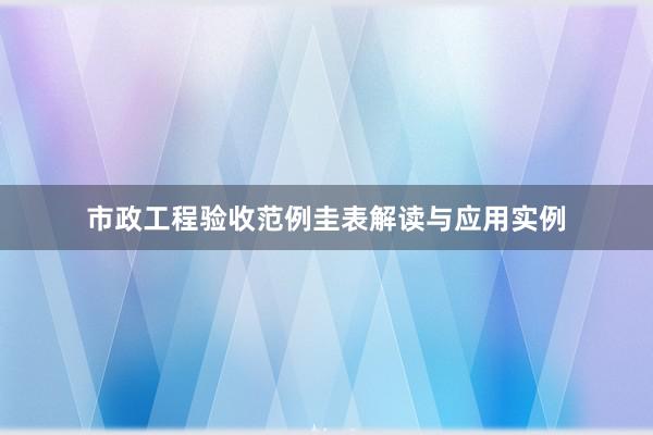 市政工程验收范例圭表解读与应用实例