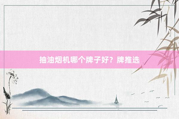 抽油烟机哪个牌子好？牌推选