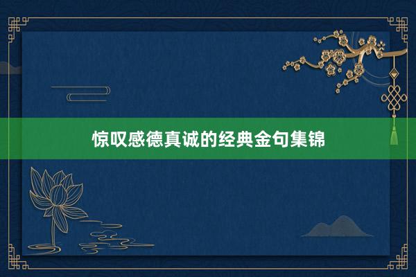 惊叹感德真诚的经典金句集锦